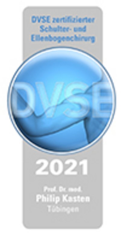DVSE Siegel