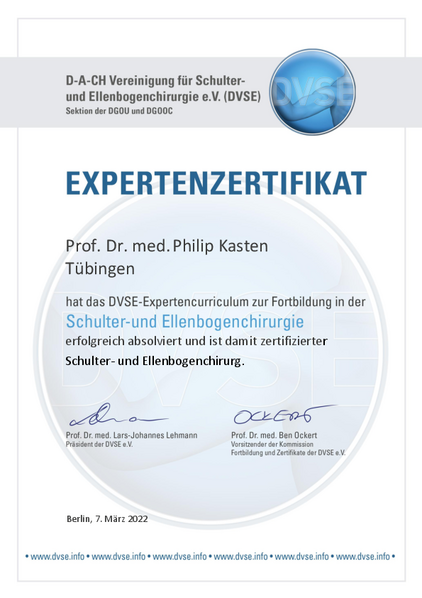 DVSE Experte